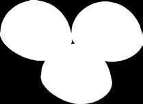 5907708 623584 5907708 623591 2 x 0,16 Ø 22 cm P30 P31