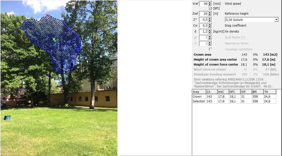 Jesion wyniosły, Piastowska 20 Opole, test obciążeniowy, EKO-TREK Jerzy Stolarczyk, VII 2016 Strona 9 6b.