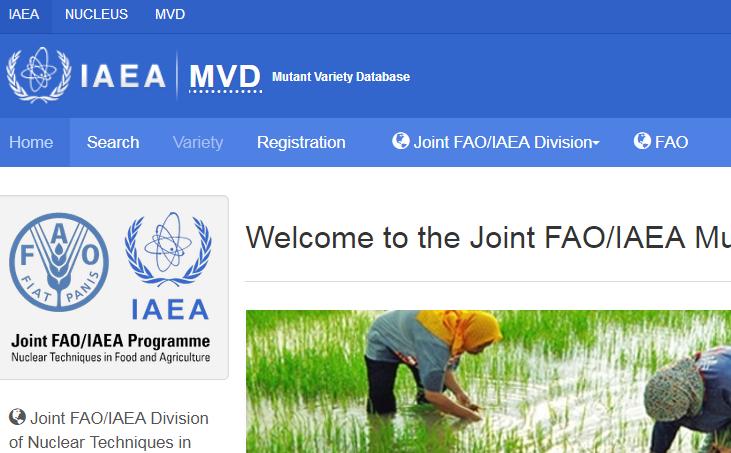 3.3.2. Proszę wejść na stronę Mutant Variety Database prowadzoną przez IAEA (https://mvd.iaea.org/#!home).
