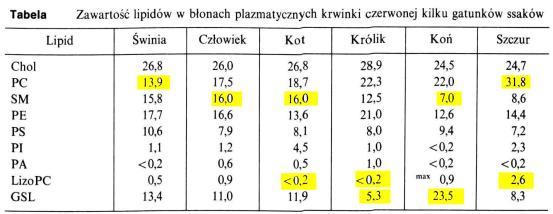 Glikolipidy: około 5% lipidów błon (w zewnętrznej warstwie ) na szkielecie diacyloglicerolu ( reszty cukrowe związane z C-3) głównie błony bakterii i komórek roślin