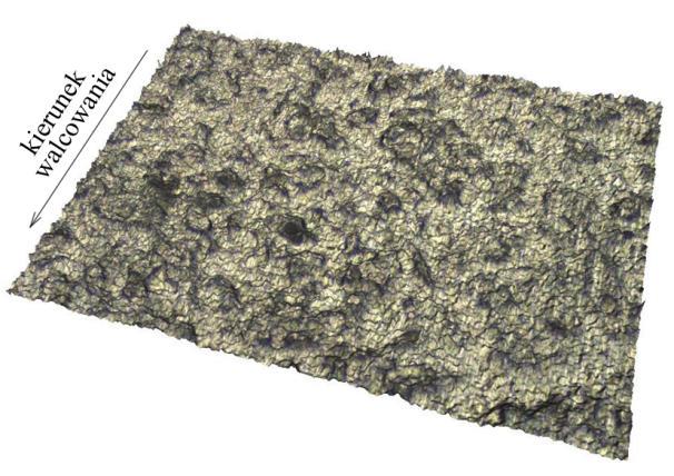 Analiza wpływu tarcia... Rys. 6. Topografia powierzchni blachy 08J BSB. Obszar 1,4301x1,0849 mm Rys. 7.