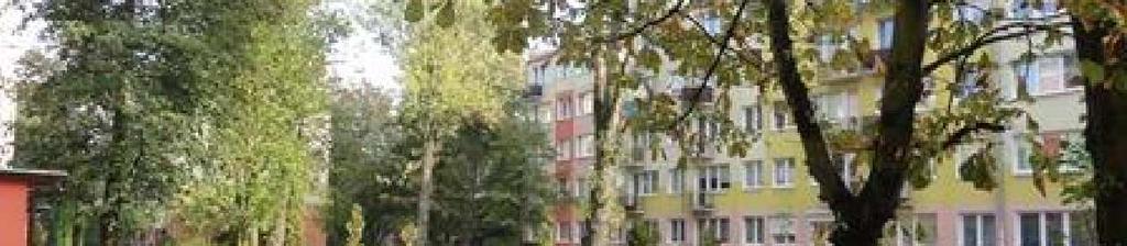 linii Dobrze rozwinięty jest