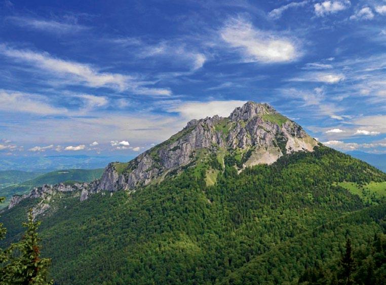 historyczna stolica Spiszu, wpisana na listę światowego dziedzictwa UNESCO, Spiska Sobota jedno z najstarszych miast spiskich, obecnie dzielnica Popradu. Powrót do Bielska-Białej ok. 20.30. 100 29.06.