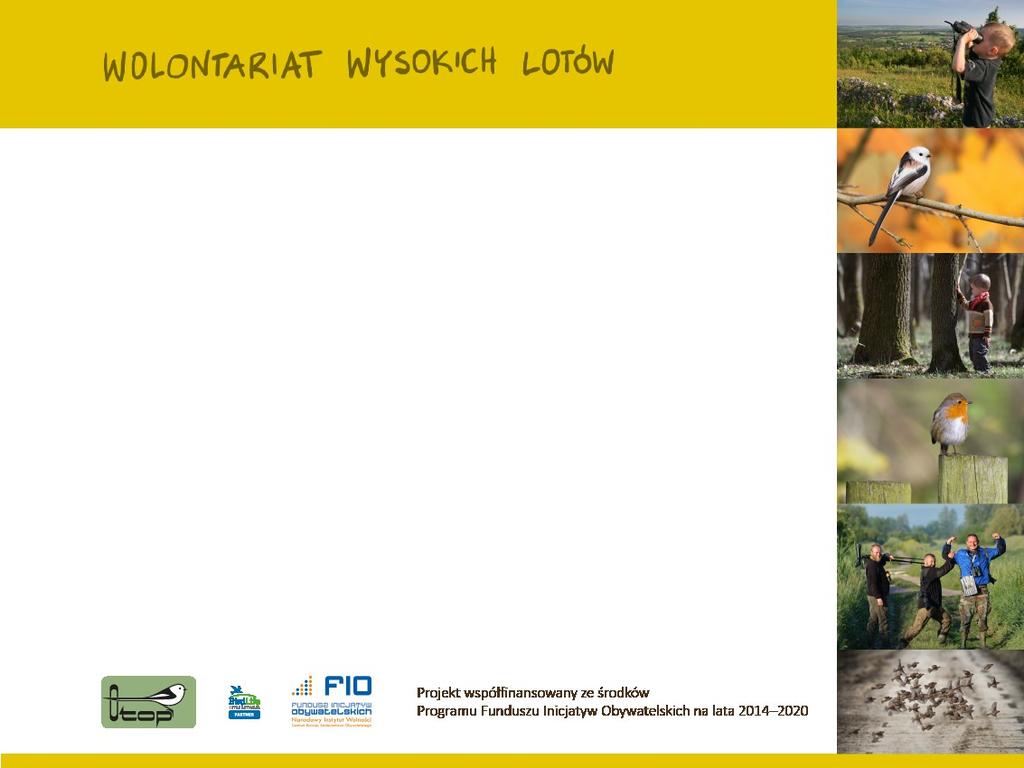 Angażowanie społeczności