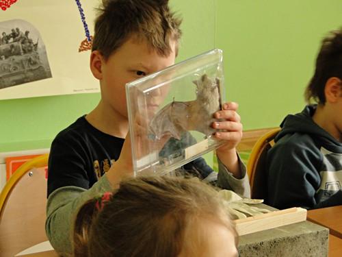 Fundusz dla przyrody Projekt: Poprawa