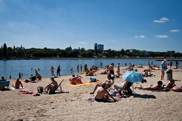 1 m 2 plaży w Warszawie rozkłada rocznie 284 g materii