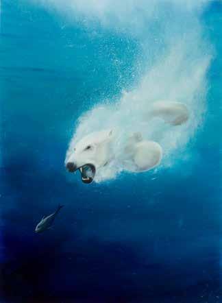 TNiemann' 43 CAMPIO (ur. 1988) Polarne polowanie, 2017 r.