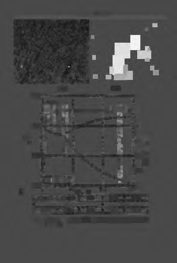-----------~--------~ J"K"N" Z 1 C r6 ~i