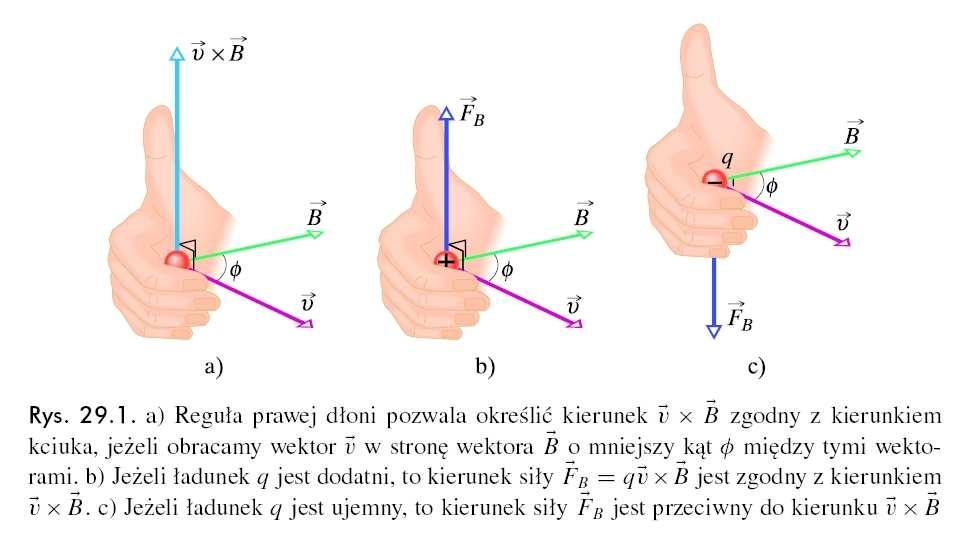 Indukcja magnetyczna B = FB q v F B = qv B siła F B działająca na cząstkę (nosząca nazwę siły Loentza), jest ówna ładunkowi cząstki pomnoŝonemu pzez iloczyn wektoowy jej pędkości v i indukcji