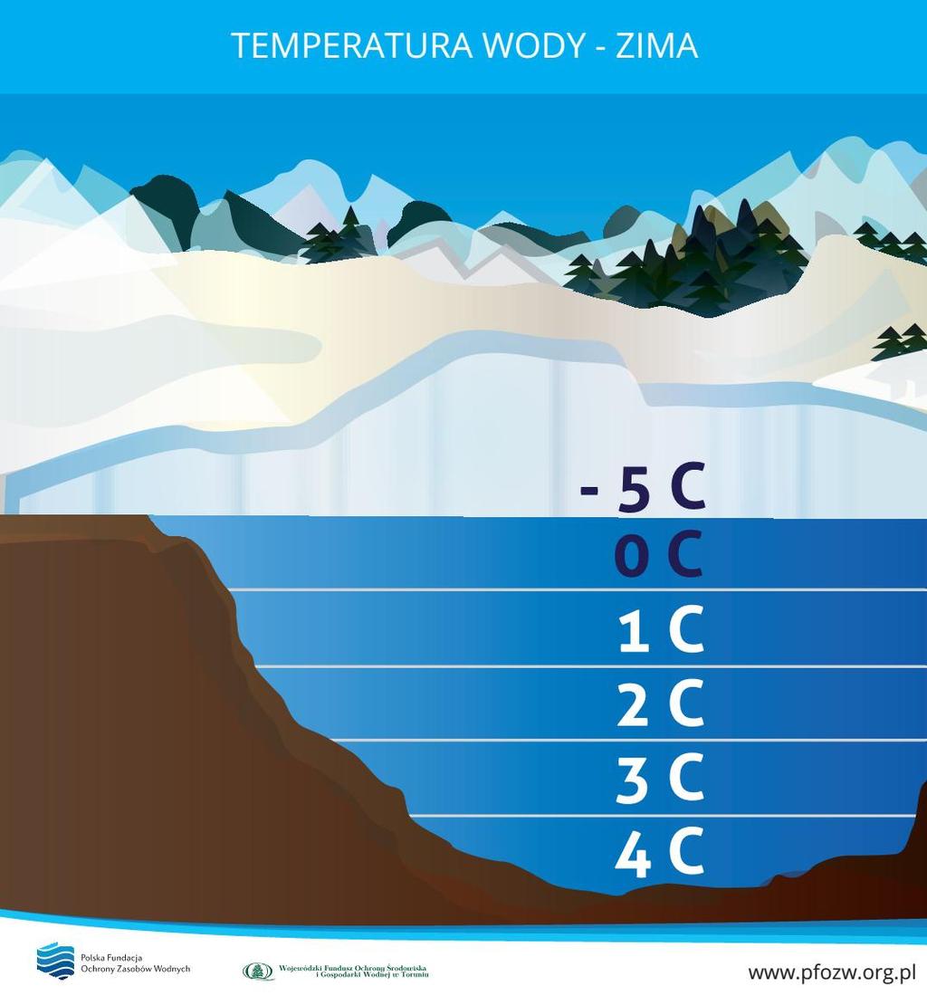 osiąga objętość mniej więcej taką samą, jak w 0ºC. Kurczenie się wody w zakresie od 0ºC do 4ºC jest następstwem stopniowego rozpadania się wiązań wodorowych między cząsteczkami wody w strukturze lodu.
