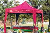 28 MOJA SPÓŁDZIELNIA 5/2019 W każdy poniedziałek, w godzinach od 15.30 do 16.