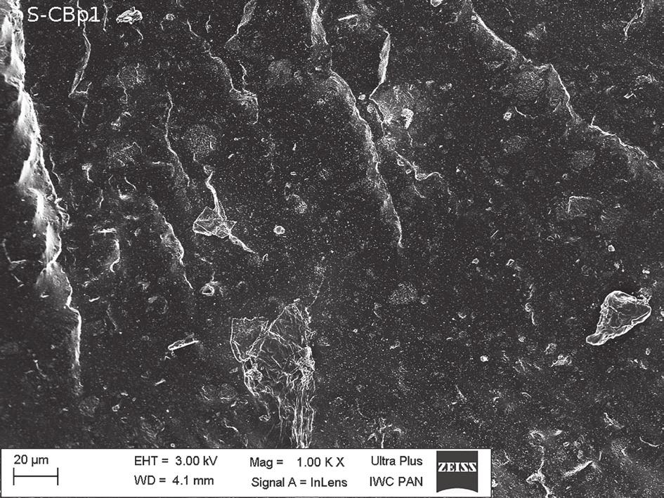 Dispersion of pyrolytic carbon black in vulcanizates Figures 1 3 show photographs of SEM breakthroughs of vulcanizates filled with CBp1 carbon black, kaolin and N772 carbon black.