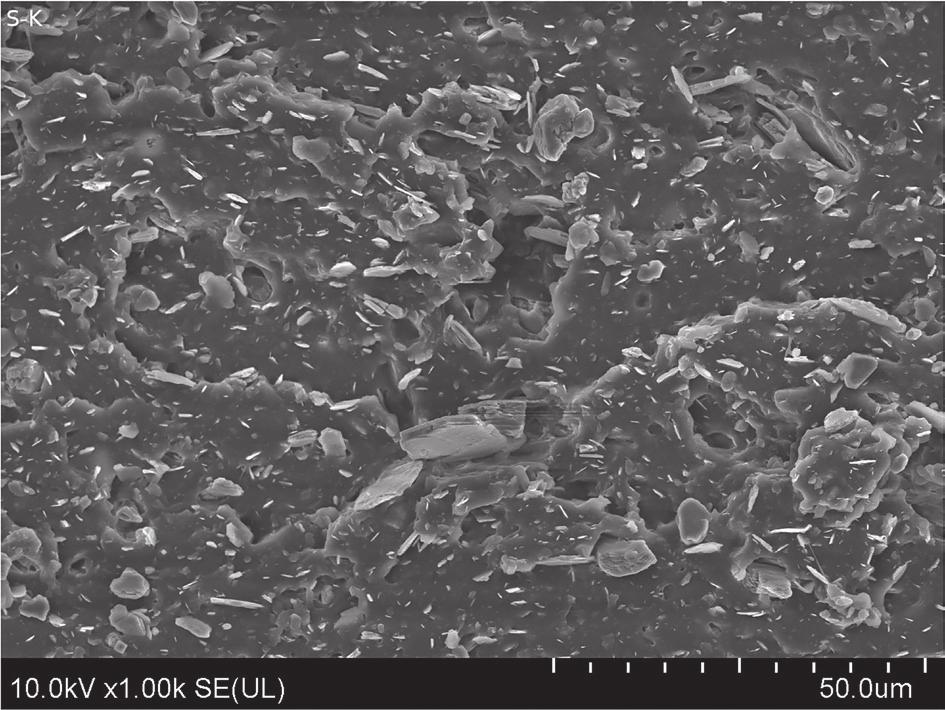 1. SEM photograph of a vulcanizate breakthrough containing the CBp1 pyrolytic carbon black sample, 1000 magnification Rys. 2.