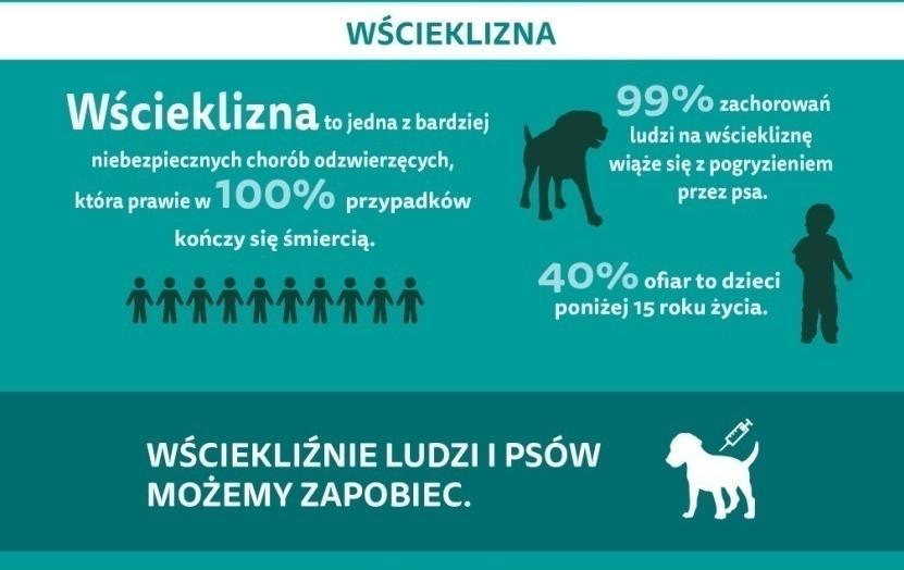W przypadkach kiedy obserwacja weterynaryjna nie była możliwa, osoby pokąsane kierowane były do kwalifikacji do szczepienia przeciwko wściekliźnie.