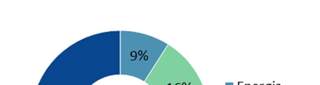 SPRAWOZDANIE ZARZĄDU Z DZIAŁALNOŚCI SPÓŁKI PFLEIDERER GROUP S.A. ORAZ GRUPY KAPITAŁOWEJ ZA ROK ZAKOŃCZONY 31 GRUDNIA 2018 R.
