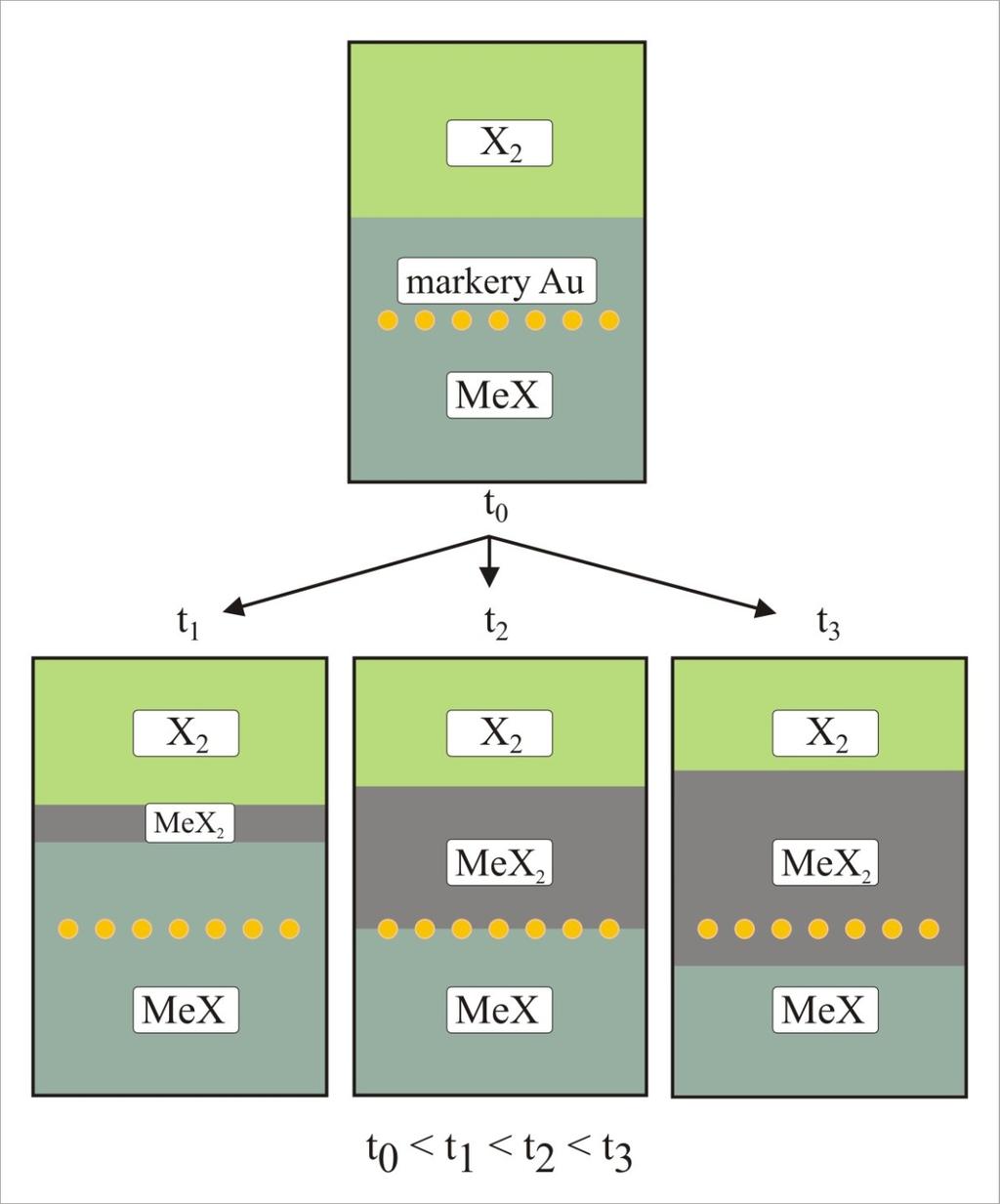 Results of marker experiments in the case of MeX homogenization Położenia markerów po procesie homogenizacji MeX przy