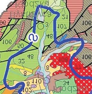 mapy geologicznej Polski (wg Marks et al. 2006) Fig. 9.
