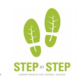 Step by step commitmen ts for energy svings Pln Gospodrki