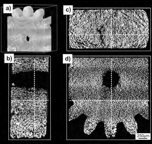 Particle size distributions in MQP-S powder (a) and MQP-B powder (b) Rys. 3.