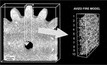 Widok (a) i analizowane przekroje (b, c, d) koła zębatego z proszku MQP-B Taking into account the real values of the filling ratios and the properties of the powders, magnets obtained can be