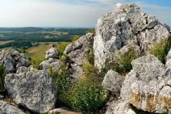 Świętokrzyskiego.