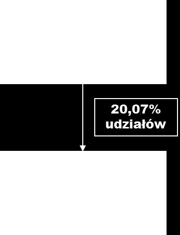 W poprzednim okresie podstawowym obszarem działalności Emitenta była produkcja, montaż i sprzedaż pod klucz instalacji i elementów instalacji do produkcji energii cieplnej z odpadów o użytecznej mocy