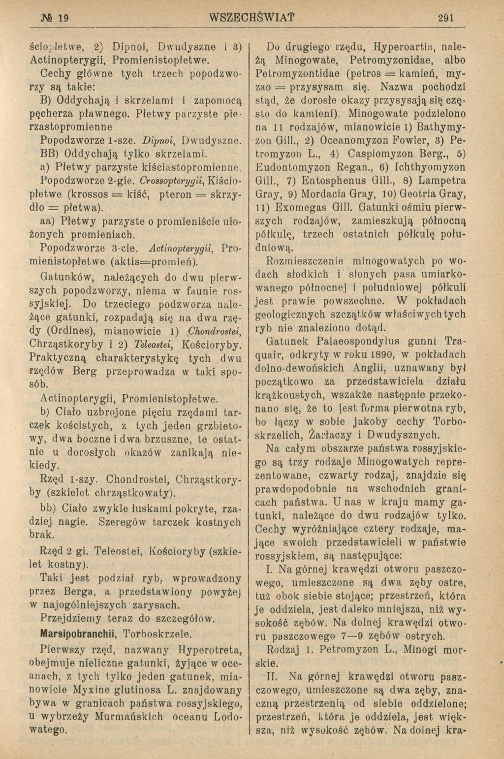 M 19 WSZECHŚWIAT 291 ściopletwe, 2) Dipnoi, Dwudyszne i 3) Actinopterygii, Promienistopłetwe. Cechy główne tych trzech popodzworzy są takie: B) Oddychają i skrzelami i zapomocą pęcherza pławnego.