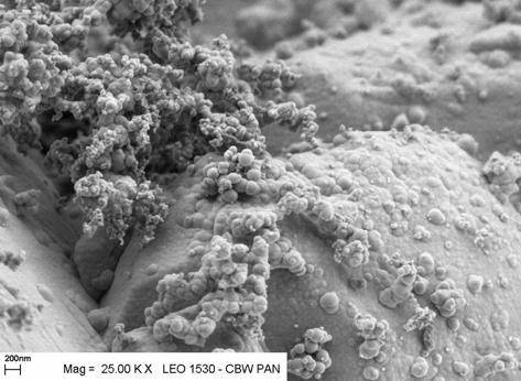 1): (a) jako kuliste nanocząstki o średnicach od 10 do 50 nm, mogące tworzyć cienkie warstwy oraz większe aglomeraty luźno ze sobą połączonych cząstek o wymiarach 50 200 nm, oraz (b) w postaci