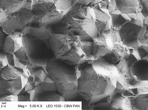 Image of Al 2O 3/Ni-P composite fracture after HP at 1400 o C and pressure above 5 GP Cząstki te mają kulisty kształt, co pozwala sądzić, że w czasie procesu spiekania przeszły one do fazy ciekłej, a