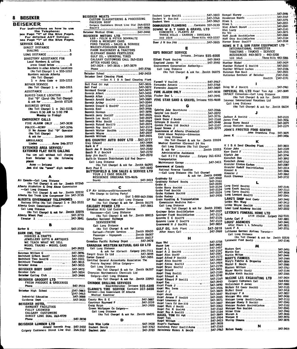 8 BEISEKER BEISEKER For instructions on how to us* the Telephone: see Page "4" of the Blue _Pages. For detailed AGT listings: see Page "1" of the Blue Pages.
