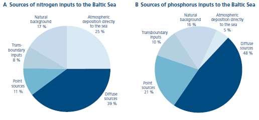Udział różnych źródeł dopływu azotu (A) i fosforu (B) do Morza