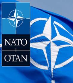STANDARYZACJA OPERACYJNA NATO 3 x rady standaryzacyjne KW NATO Military Committee Joint Standardization Board (MCJSB) Military Committee Air Standardization Board (MCASB) Military Committee Maritime