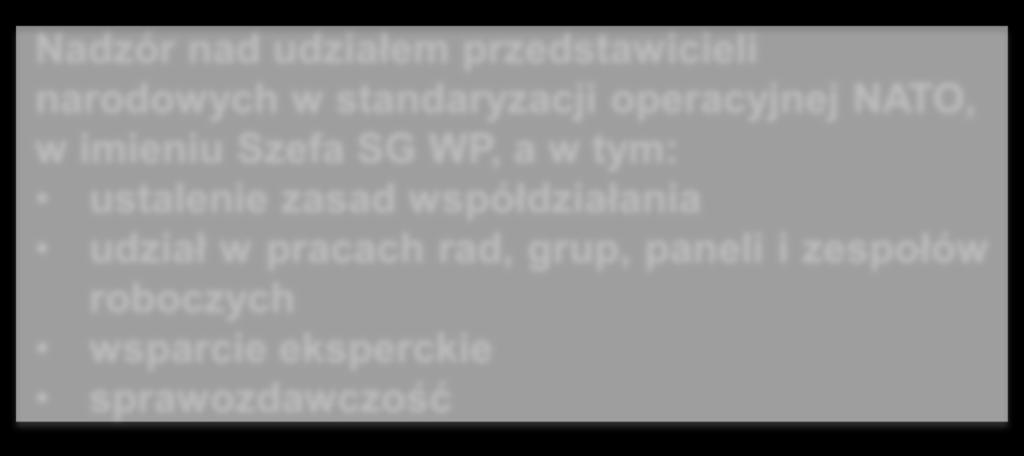 STANDARYZACJA OPERACYJNA SZ RP Zarządzanie obszarem standaryzacji operacyjnej SZ RP, a