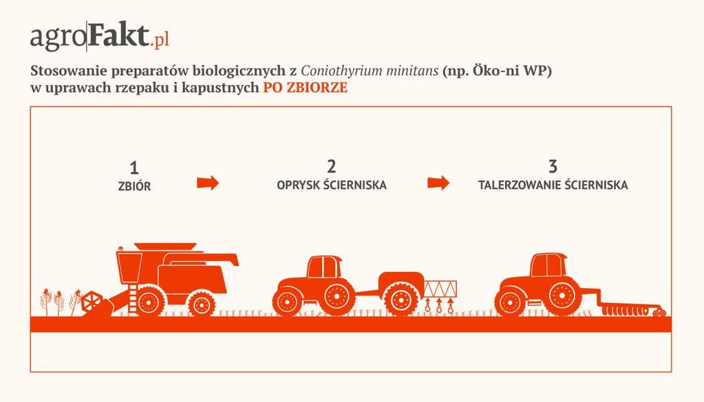 https://www. Rys. 2. Stosowanie preparatów biologicznych z C. Minitans po zbiorze.