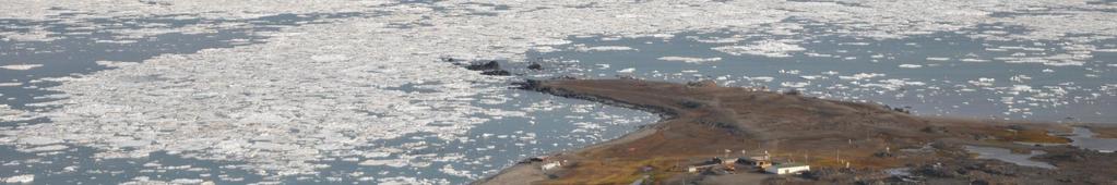 2011  Ice field of close pack ice (7-9/10) at the entrance to the Hornsund Fjord 19 July