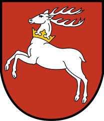 kobiet CHEŁM 9.