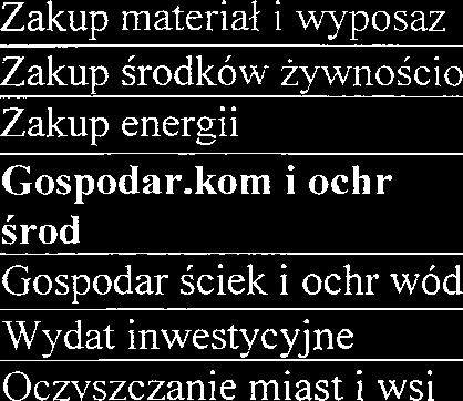 Wydat inwestycyjne