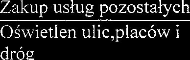 Zakup uslrug pozostalych