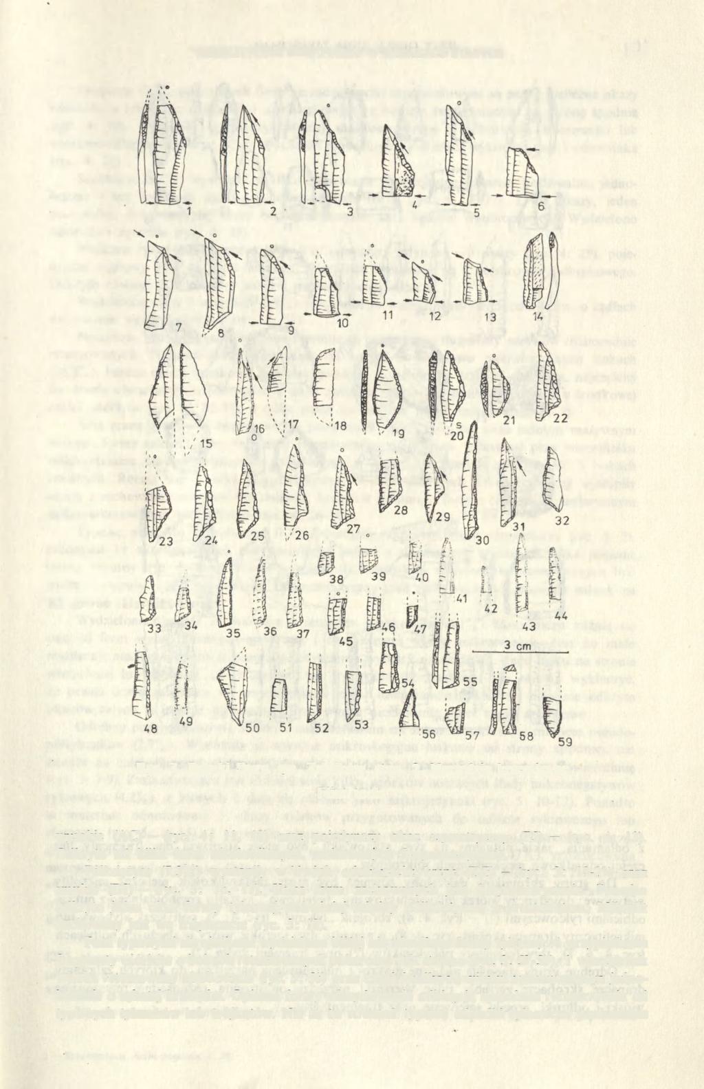 MEZOLITYCZNE STANOWISKO W BARAKACH STARYCH 15 Ryc. 3. Baraki Stare, gm. Zaklików, stan. 2. Narzędzia krzemienne Flint tools wysokie (AC) (ryc. 4: 11, 12) oraz pojedynczy okaz asymetryczny (PJ) (ryc.