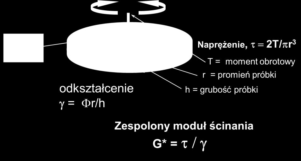 Właściwości