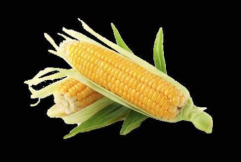 Twaróg wędzony