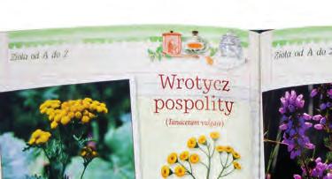 55,00 49,90 Kompendium na temat właściwości i zastosowania ziół