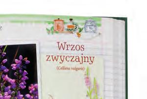 NOWA ENCYKLOPEDIA Szczegółowe informacje na temat 170 roślin