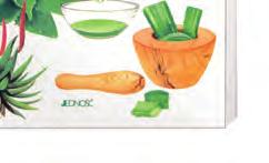 : 6-tygodniowy plan diety: 4 dni przygotowania, 10 dni diety