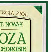 Poradnik podpowie jak prawidłowo zbierać pokrzywę i jak ją
