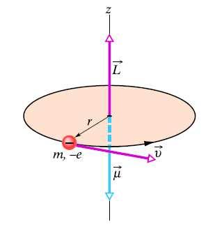 Fizyka Wyk»ad W6 8 Dzieje się tak dlatego, Ŝe: Wiadomo z doświadcze½ z przep»ywem prądu w zwojach drutu w polu magnetycznym: moment p du prądu elektrycznego w zwoju wiąŝe si z dipolowym momentem