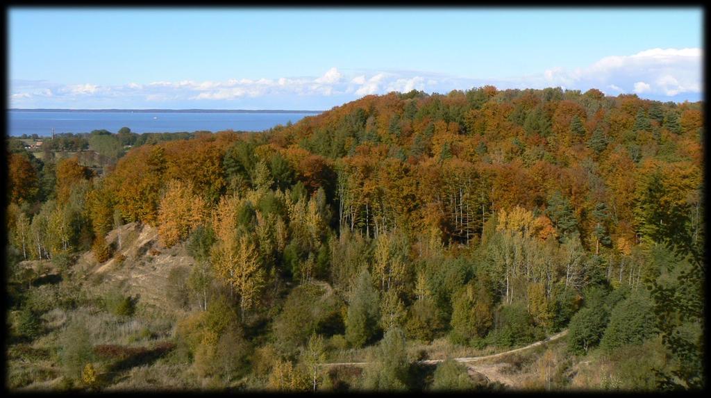 STARE WYROBISKO, STREFA KADYNY