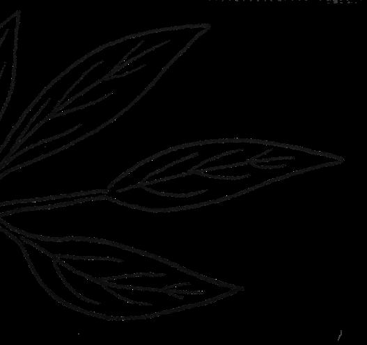 amaro fernet branca / 40 ml / 15 zł 27.baileys / 40 ml / 10 zł 20.