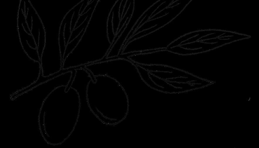 amaro montenegro / 40 ml / 15 zł 22.grappa / 40 ml / 12 zł Vermouth 23.
