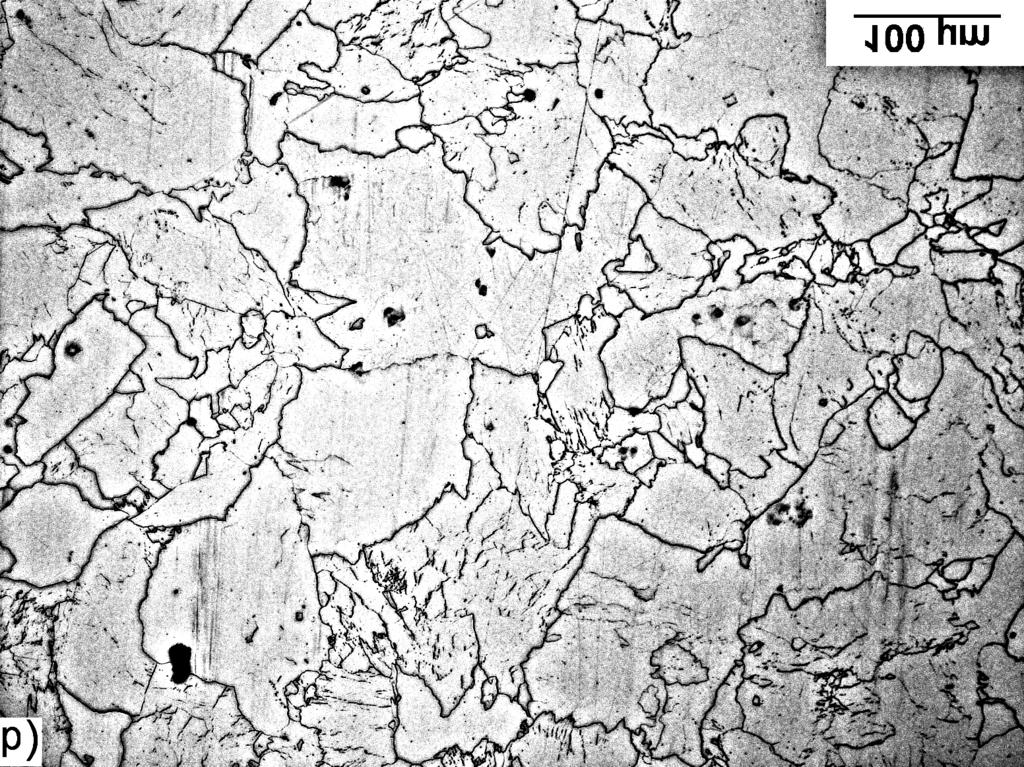 Black curves on Fig. 3.a, 3.b and 3.c correspond to deformation which resulted in microstructures presented on Fig. 5.a, 5.b and 6.a. 3.3. Dynamic Reverse Transformation products The microstructures presented in Figure 4 clearly indicate influence of prior microstructure on austenite morphology.